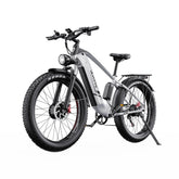 Duotts F26 Electric Bike - 750W*2 Motor 48V 20Ah Battery Not foldable - Silver White